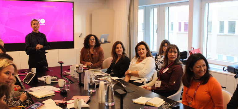 Las reuniones de la delegación REDMAD en Suecia, el primer país feminista del mundo