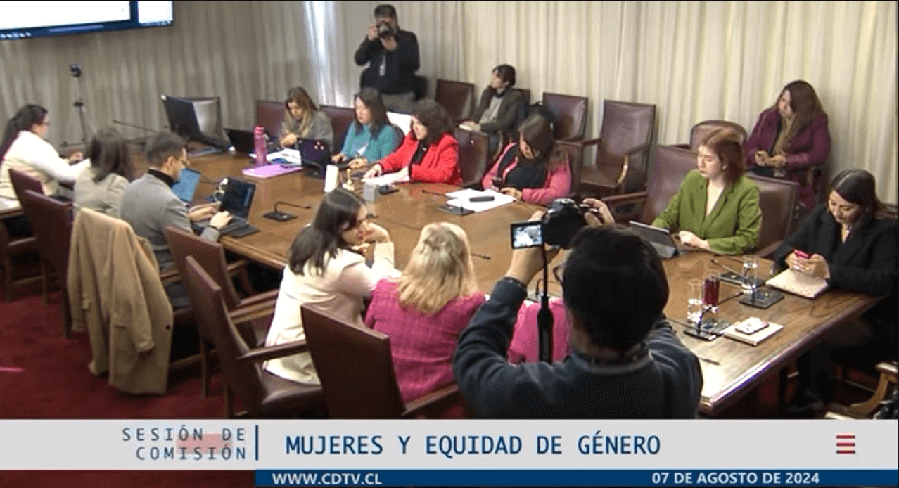 REDMAD en Comisión de Mujeres y Equidad de Género de la Cámara de Diputadas y Diputados de Chile